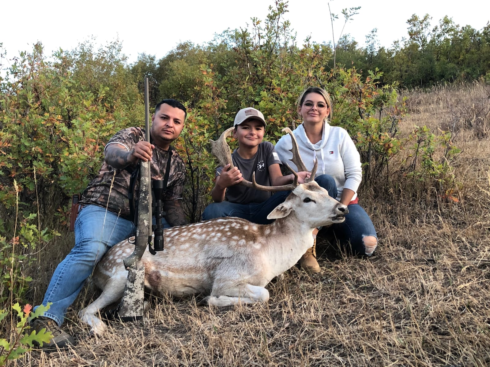 Fallow Deer Hunt Colorado