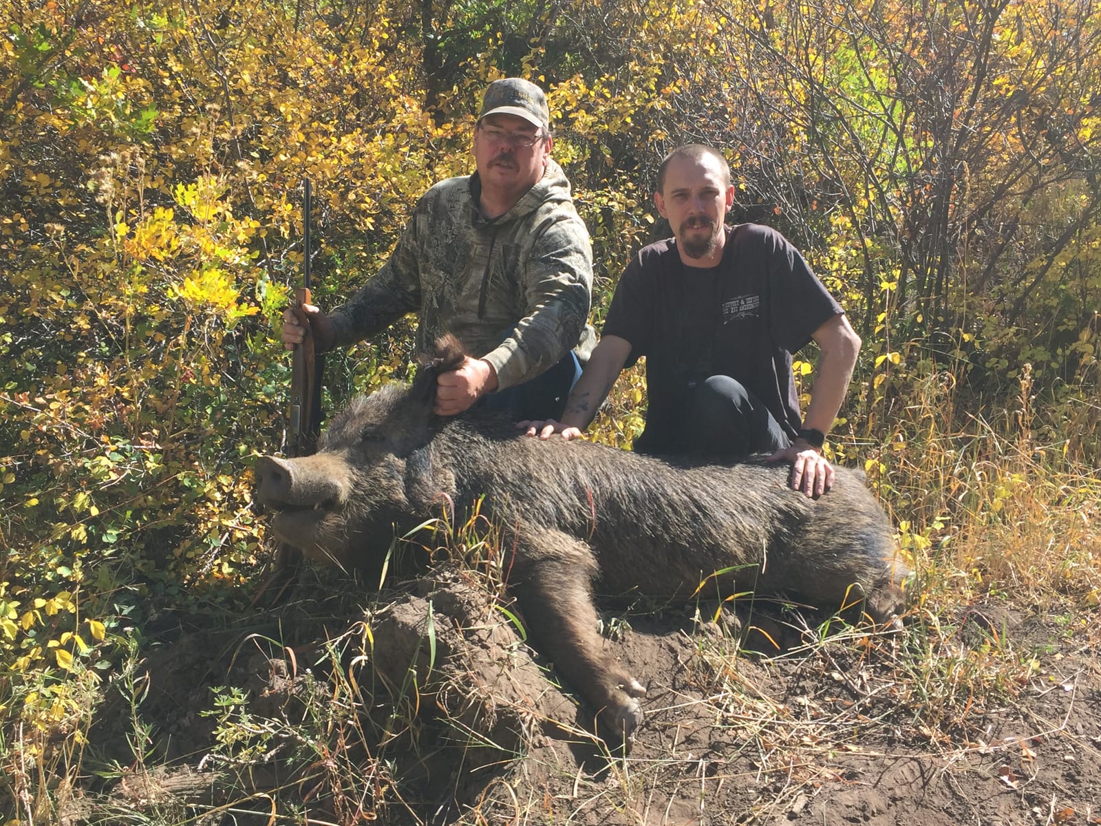 Hog Hunting in Colorado