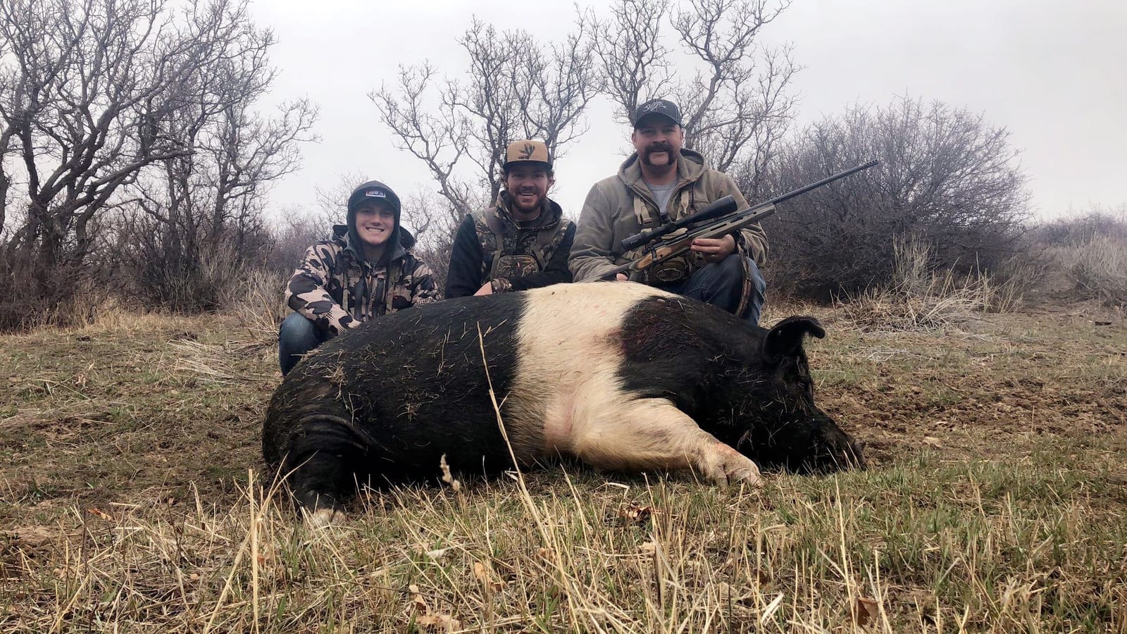 Colorado Hog Hunt