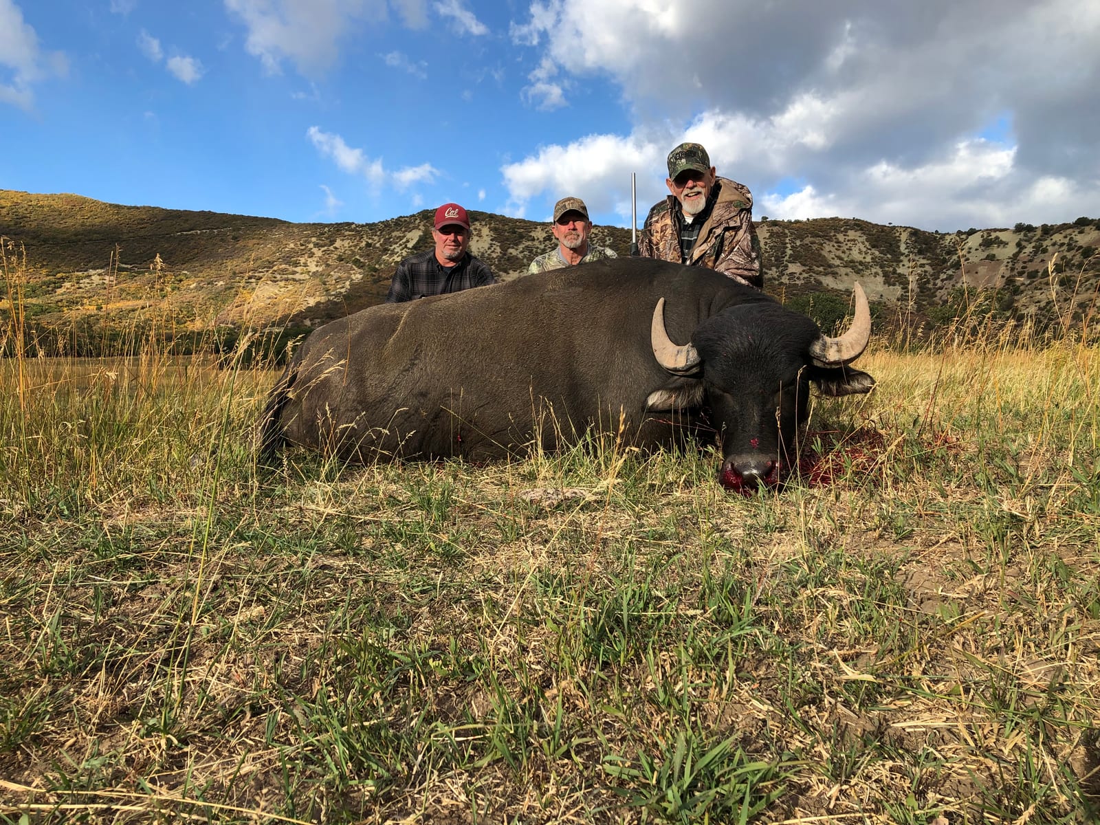 Colorado Water Buffalo Hunting