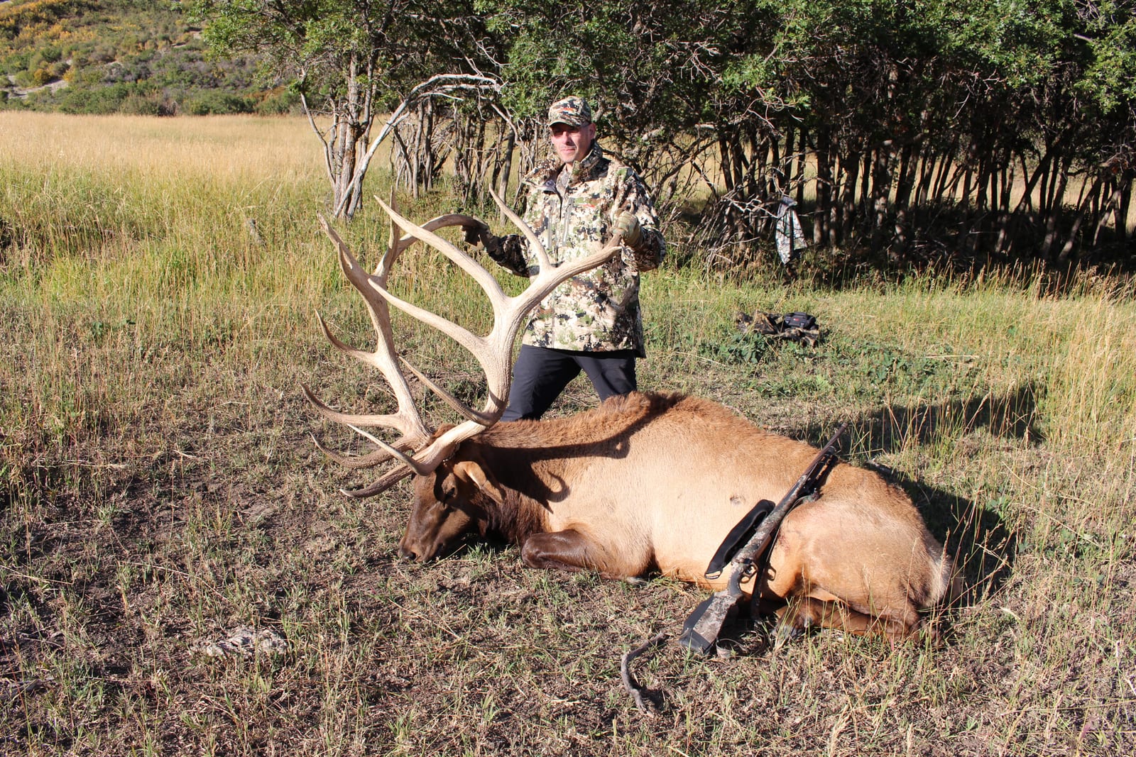 Colorado Elk Hunts