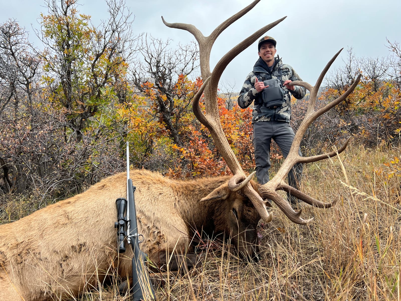 Best Guided Elk Hunts in Colorado