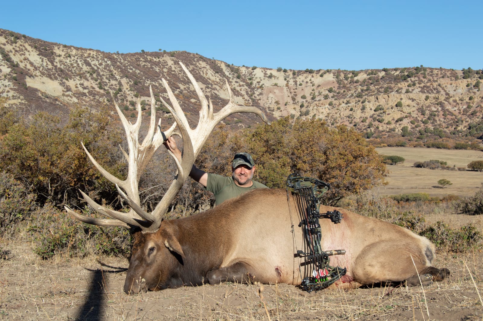 Guided Elk Hunts in Colorado