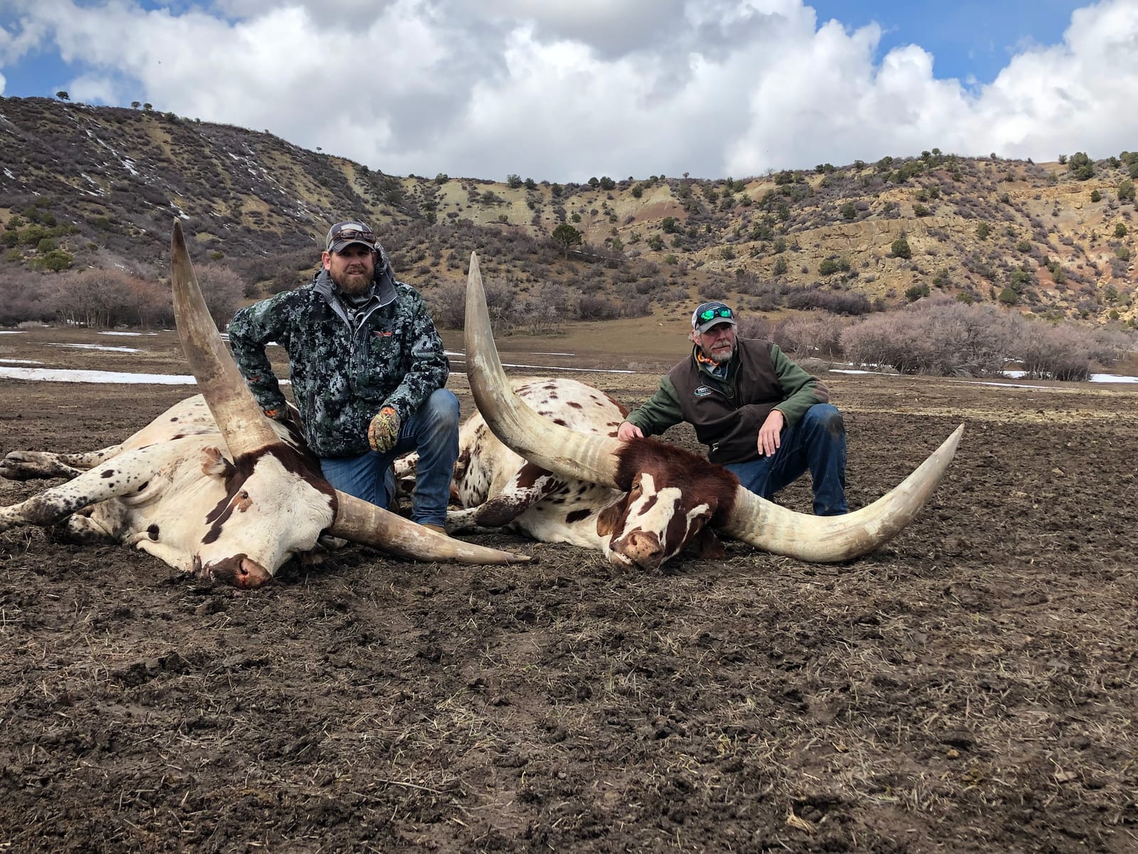 Colorado Watusi Hunts
