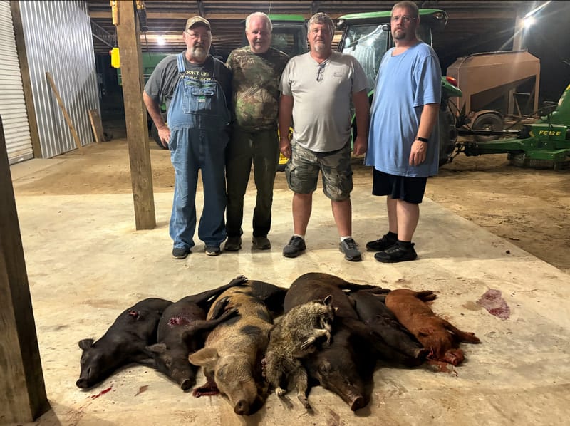 Congratulations on your Hogs!