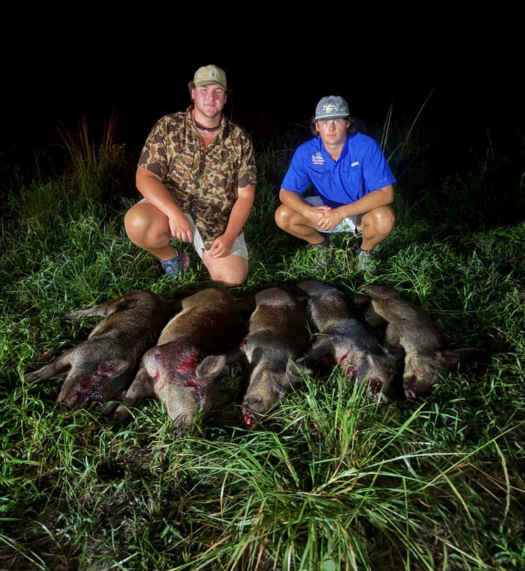 Congratulations on your Hogs!