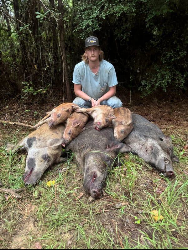 Congratulations on your Hogs!