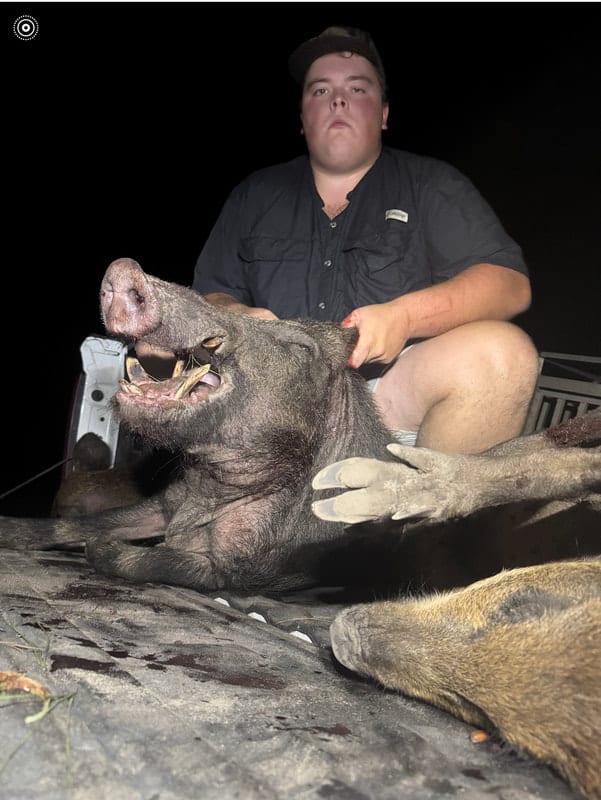 Congratulations on your Hog!