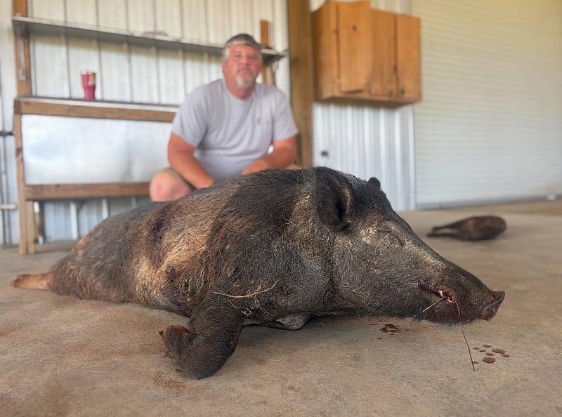 Congratulations John from Kentucky for getting a Hog!