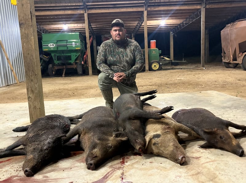 Congratulations on your Hogs!