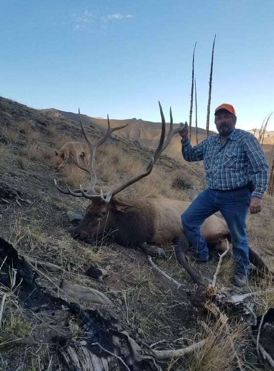 Elk Hunts