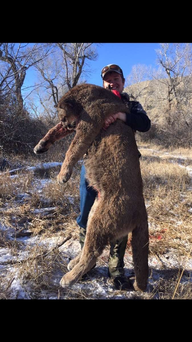 Shell Valley Mountain Lion Hunts