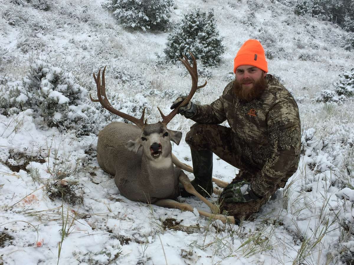 Mule Deer Info