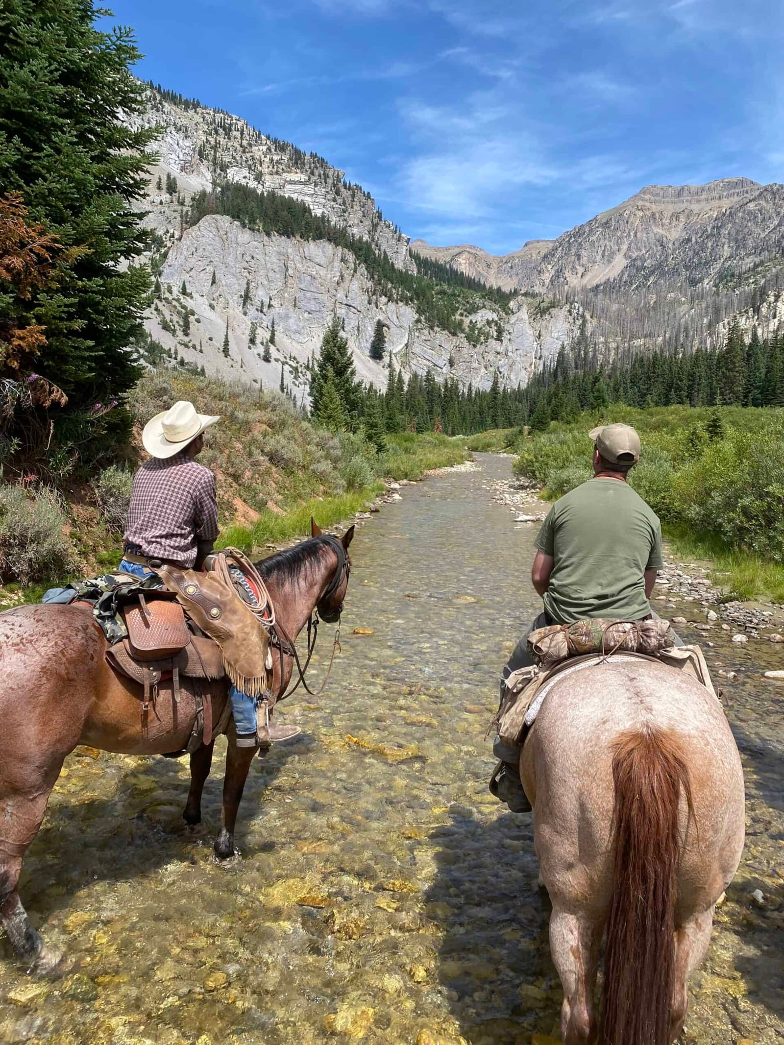 Jackson Hole WY Scenic Horseback Riding Trips