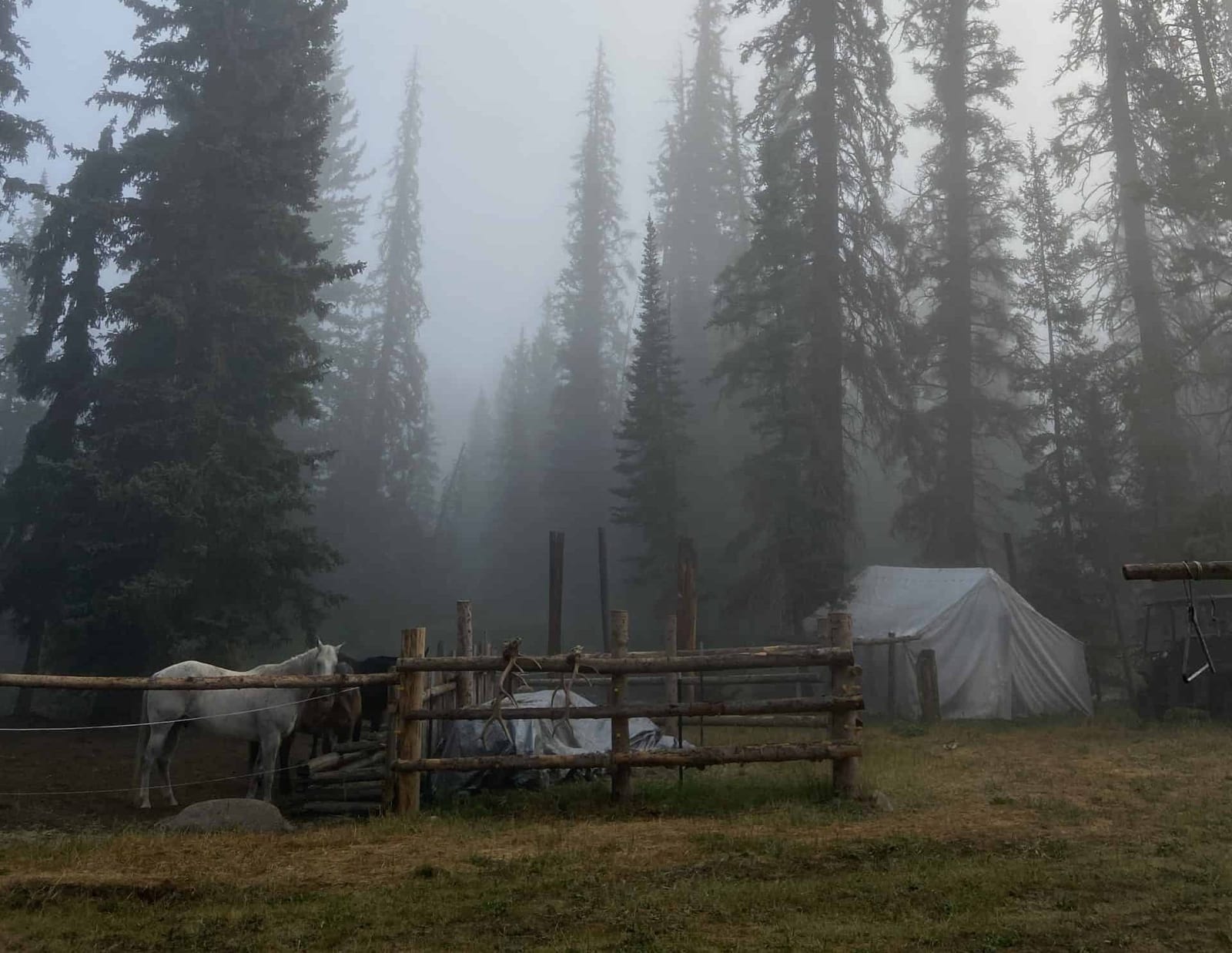 Shoal Creek Camp