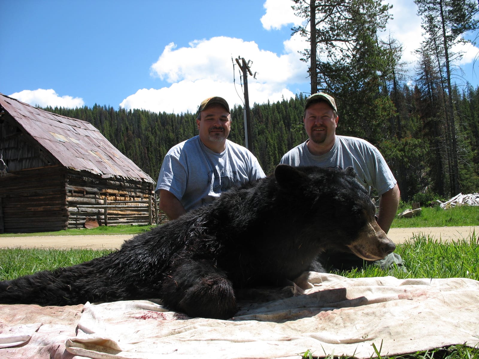 Bear Hunting