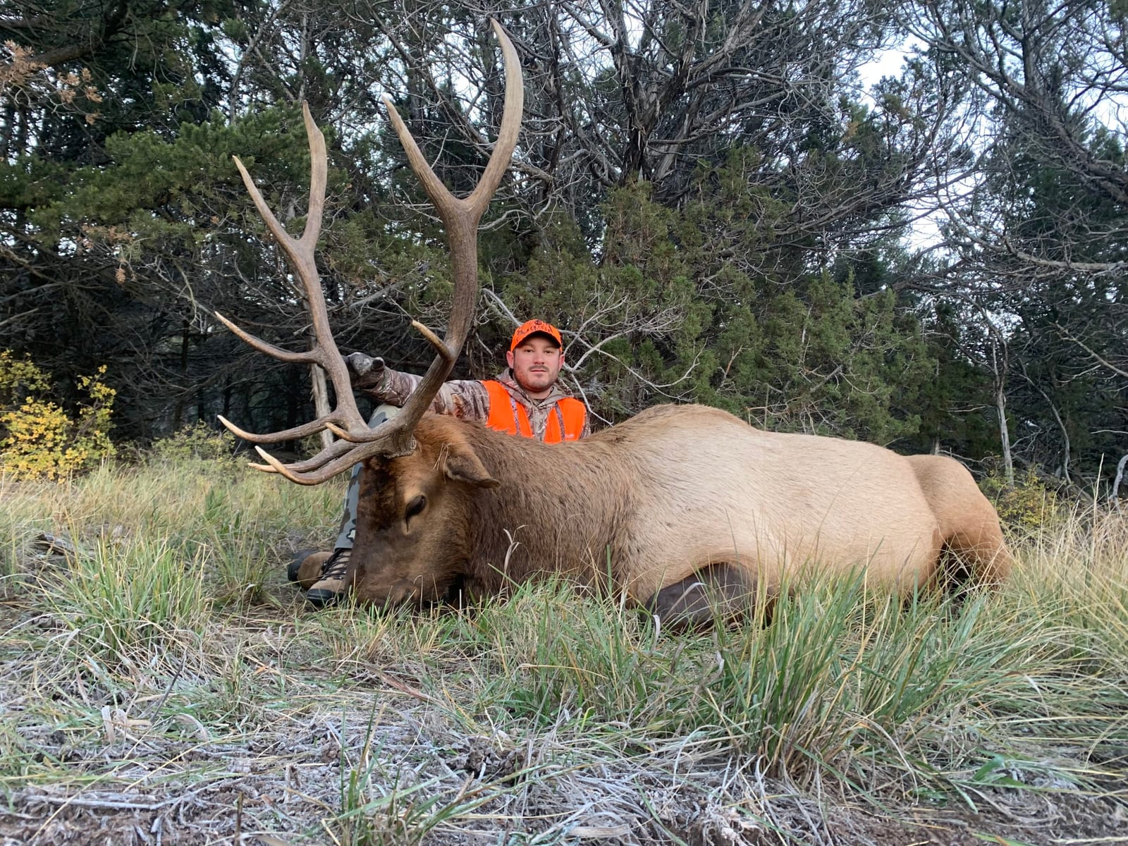 Elk Hunts