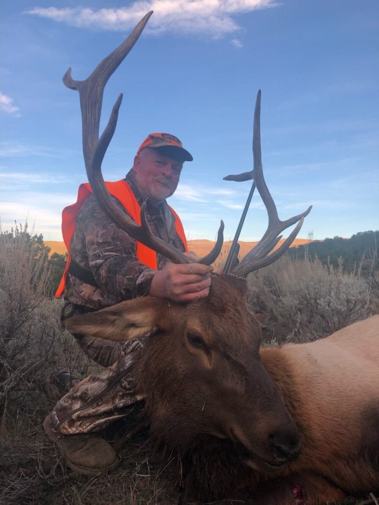 Elk Hunts