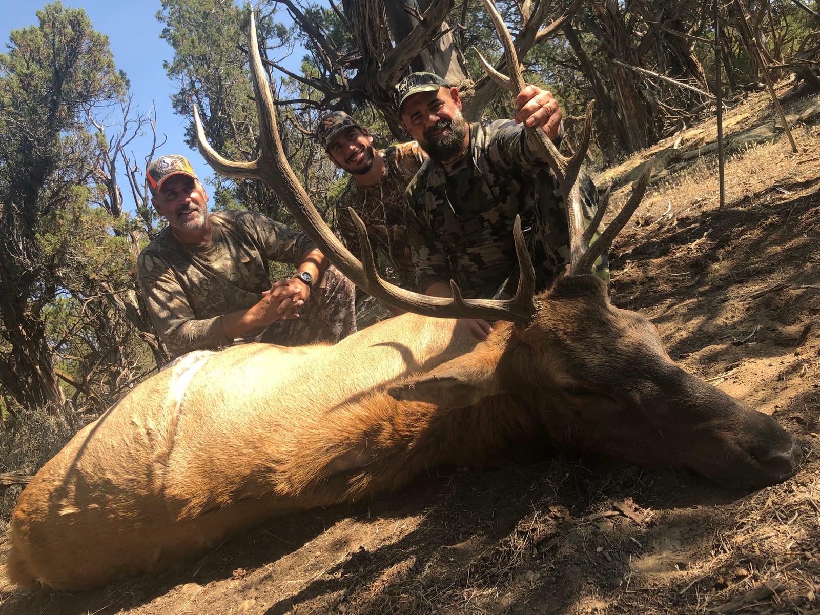 Elk Hunts