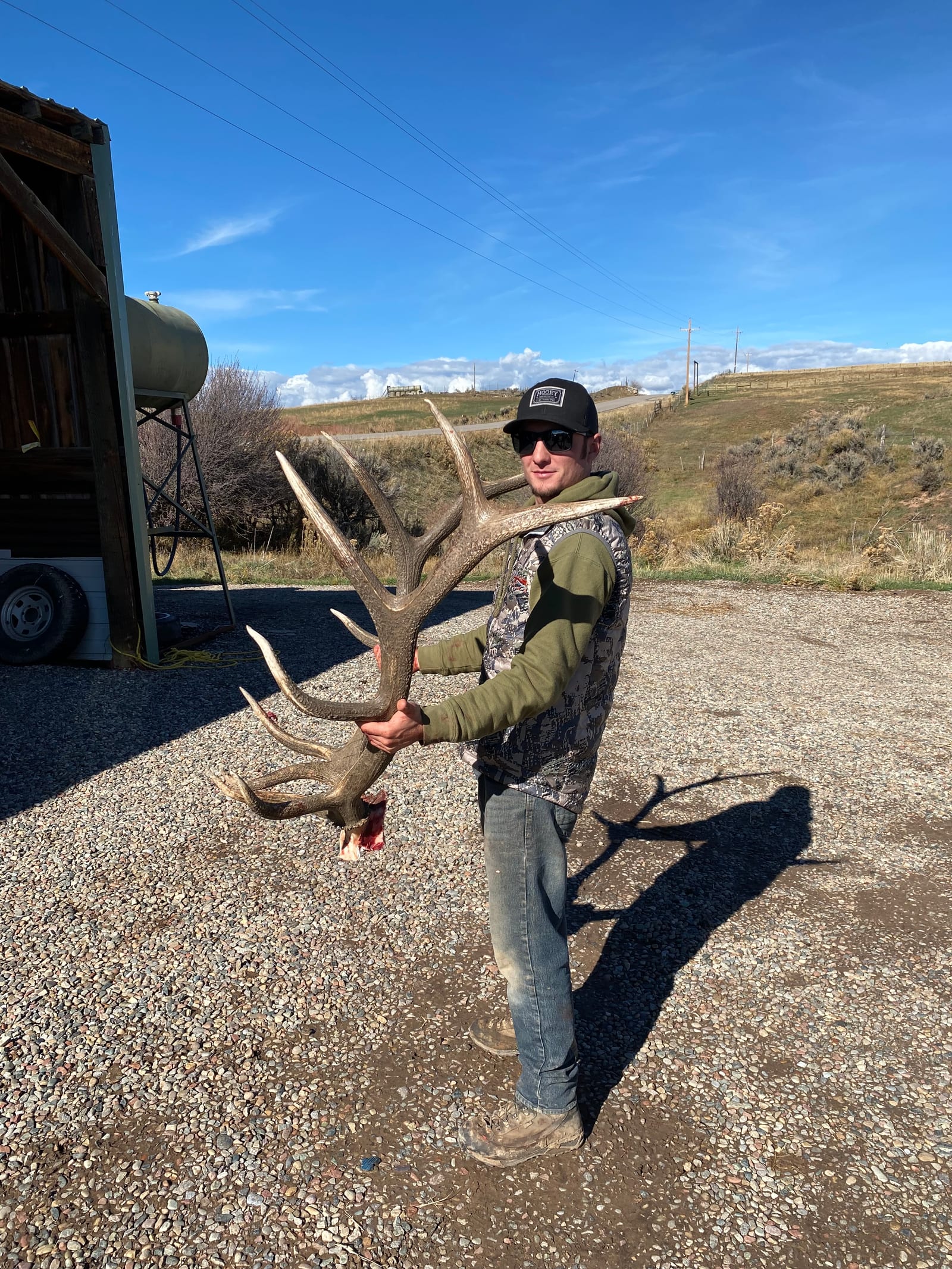 Elk Hunts