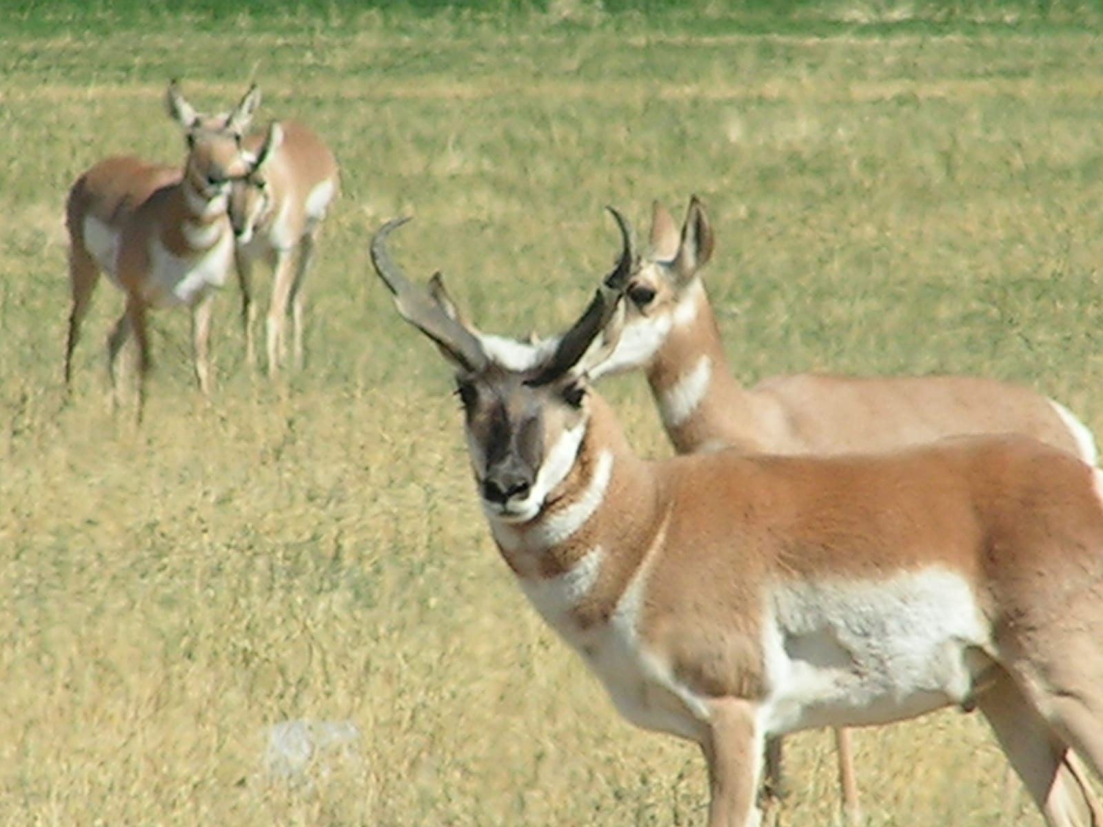 PICT0472.JPG