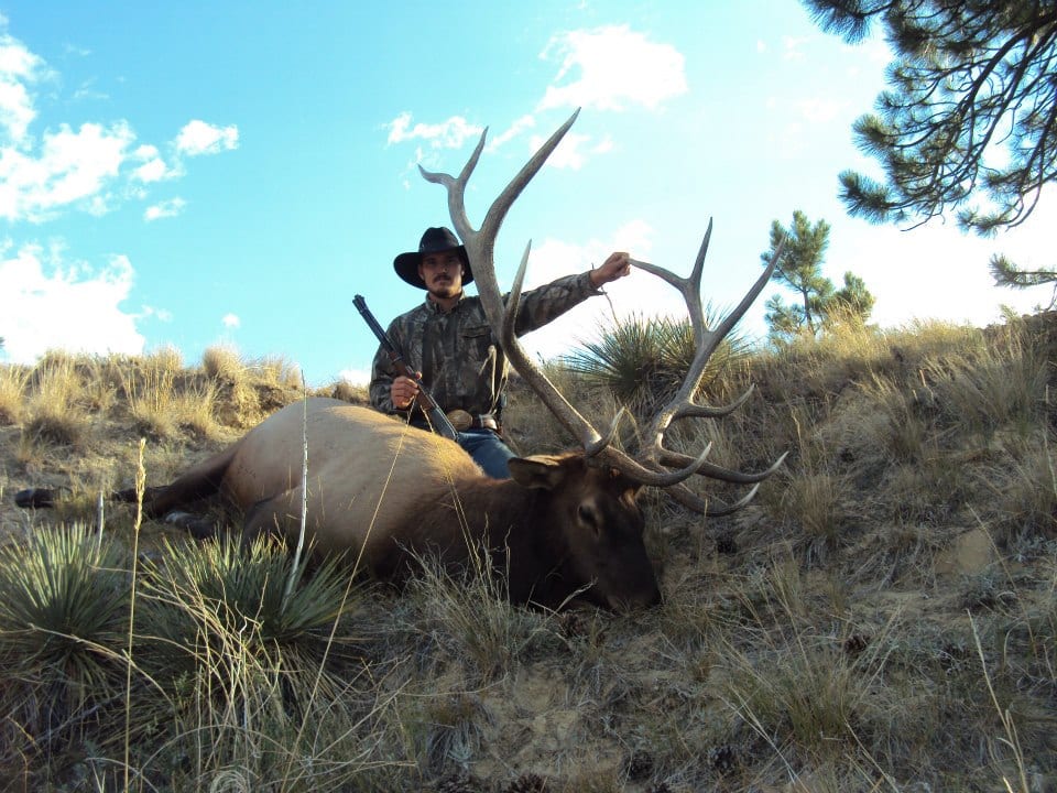 A hunter poses with a harvested elk on a grassy hillside under a blue sky.