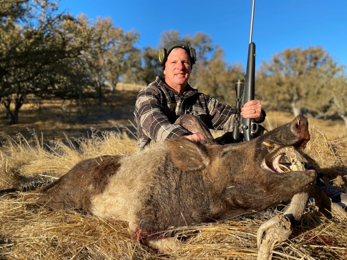 Wild Hog Hunts