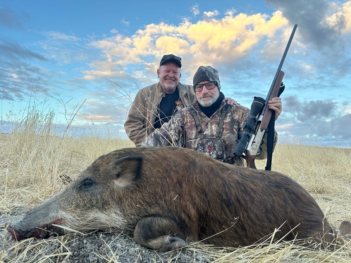 Hog Hunts in California