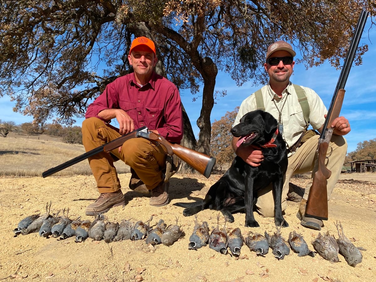 Dove Hunts