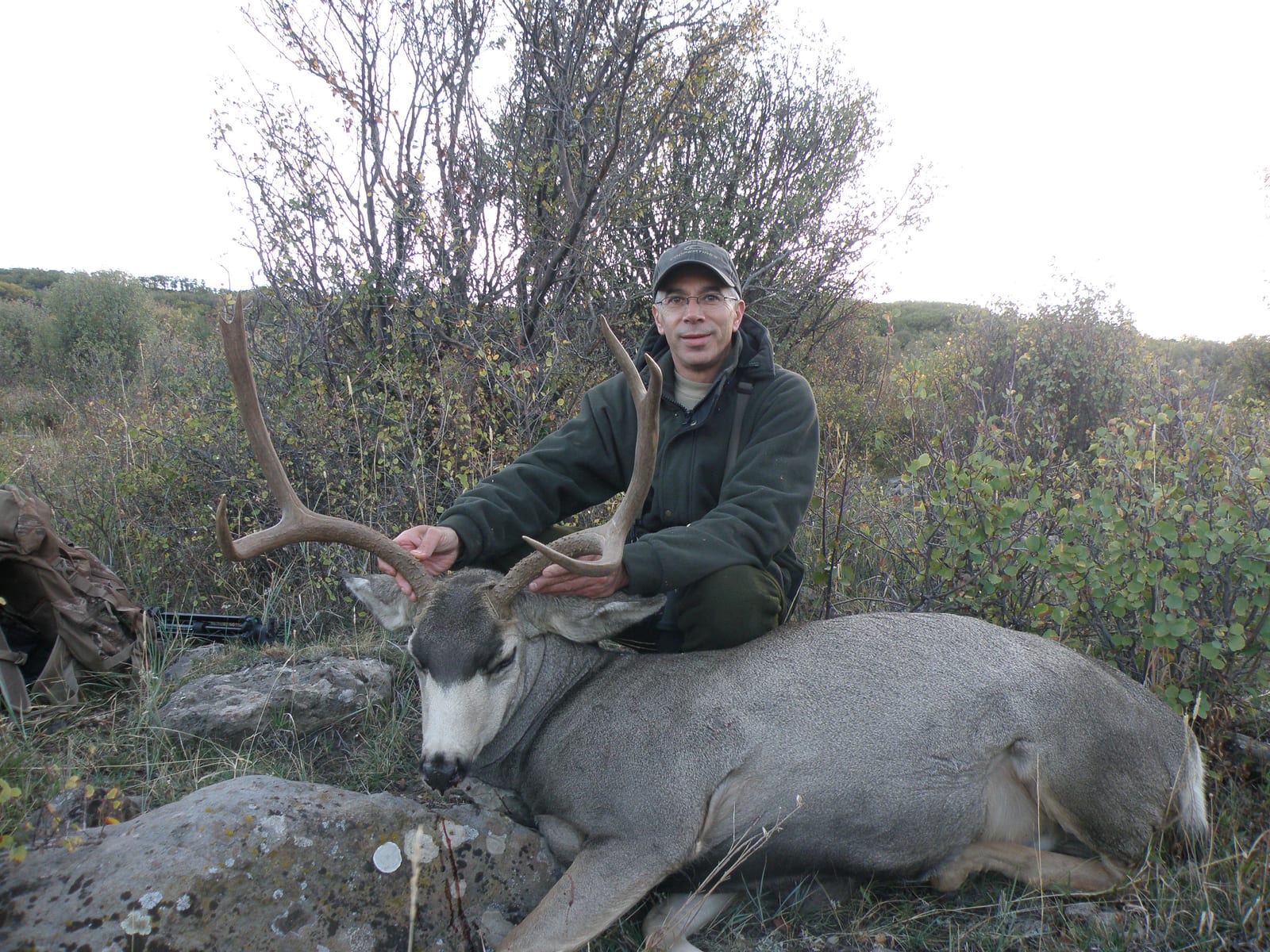 A hunter in a cap and jacket poses with a harvested mule deer in a field with trees and brush.