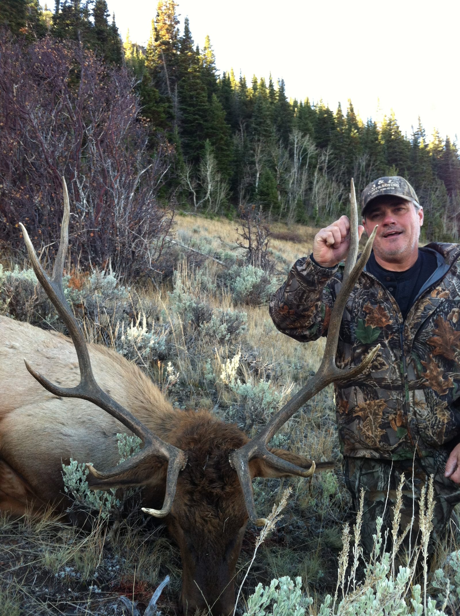 A hunter in camouflage poses with a harvested elk in a grassy, wooded area.