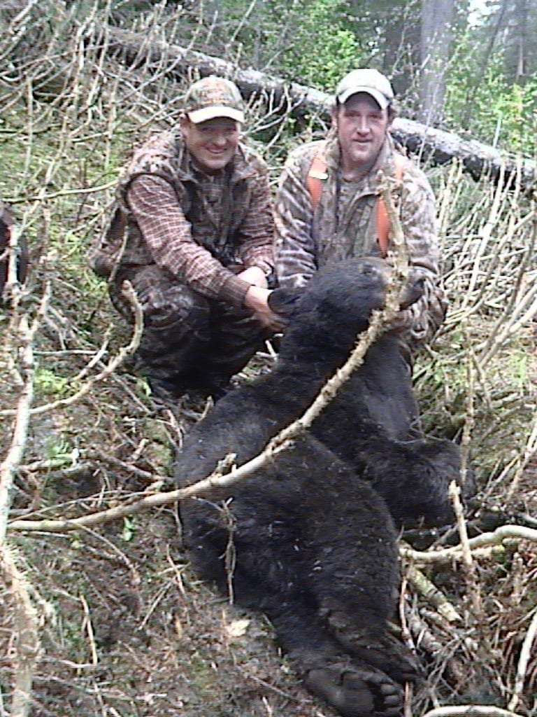 Montana black bear