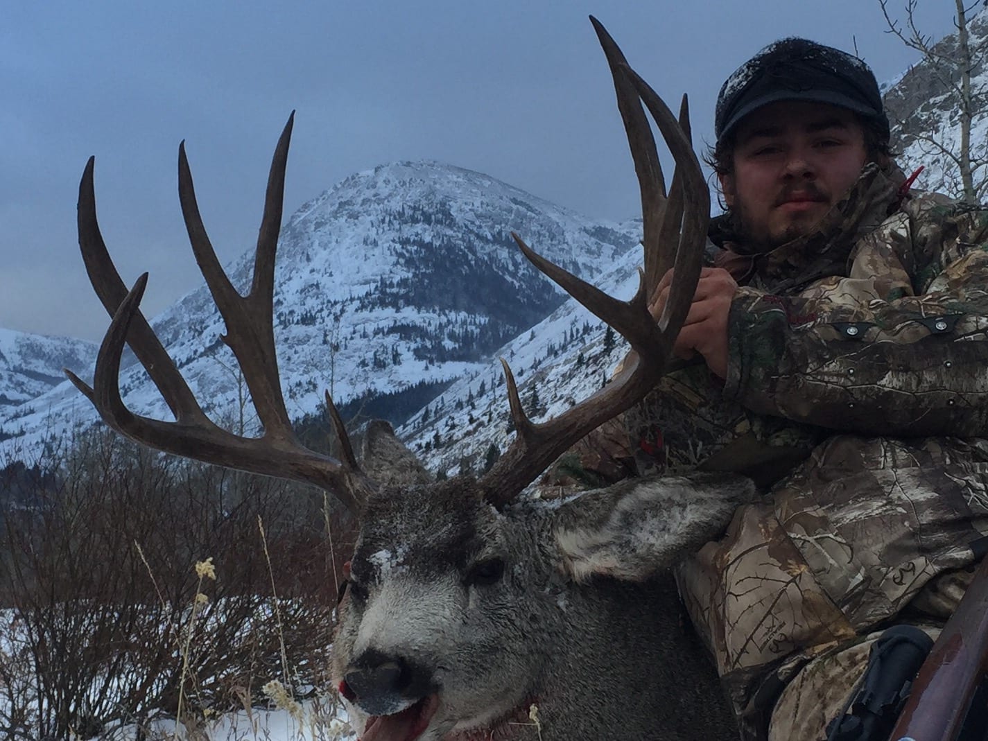 Snowy Springs mule deer harvest