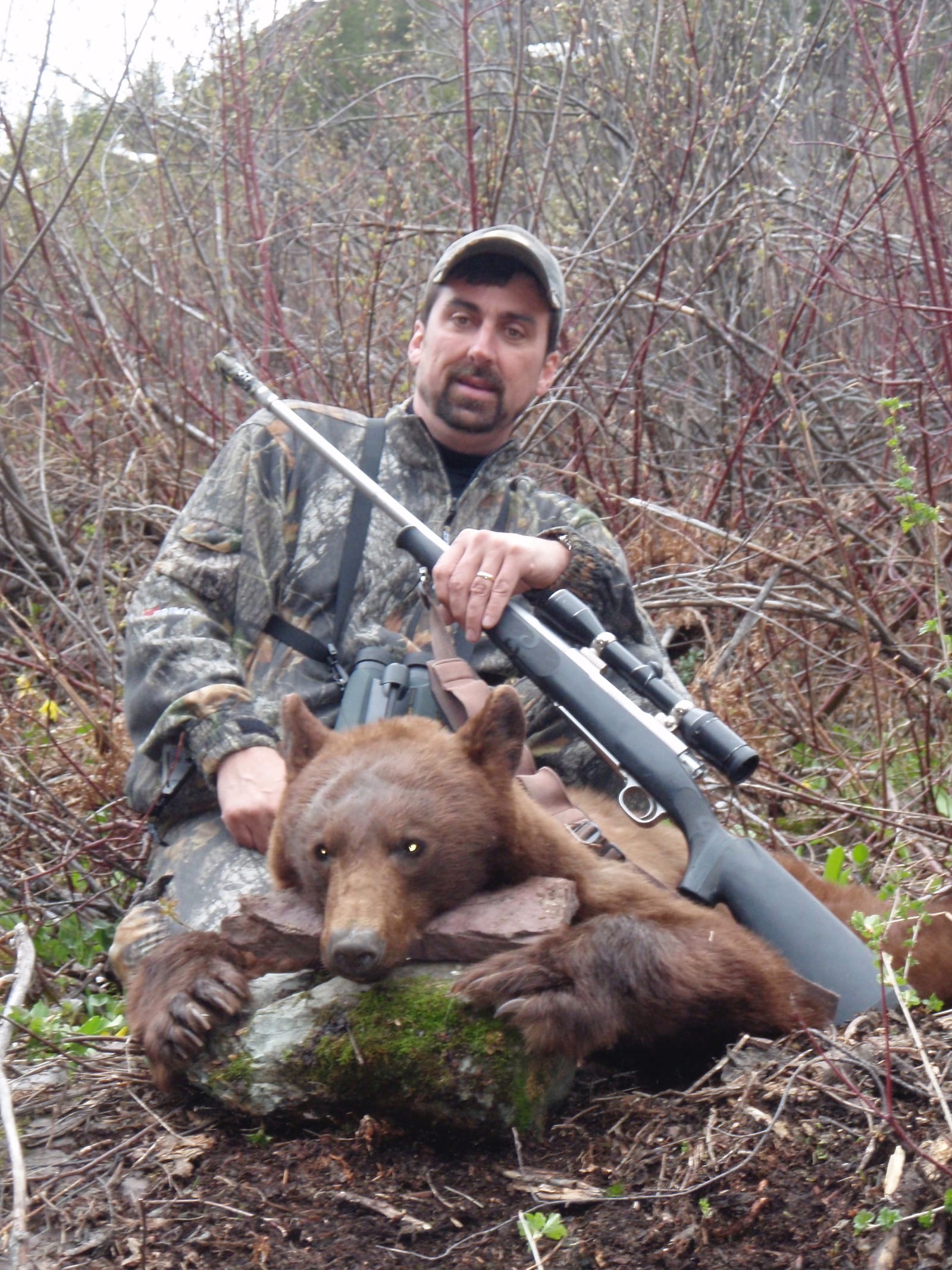 Montana black bear