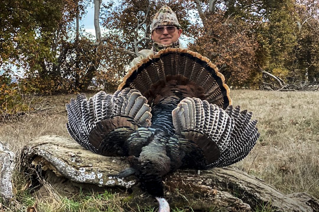 A hunter poses with a harvested wild turkey in a field.