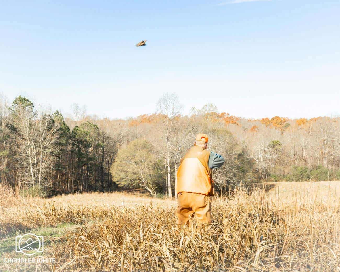 A hunter stands in a field with a bird flying in the distance.