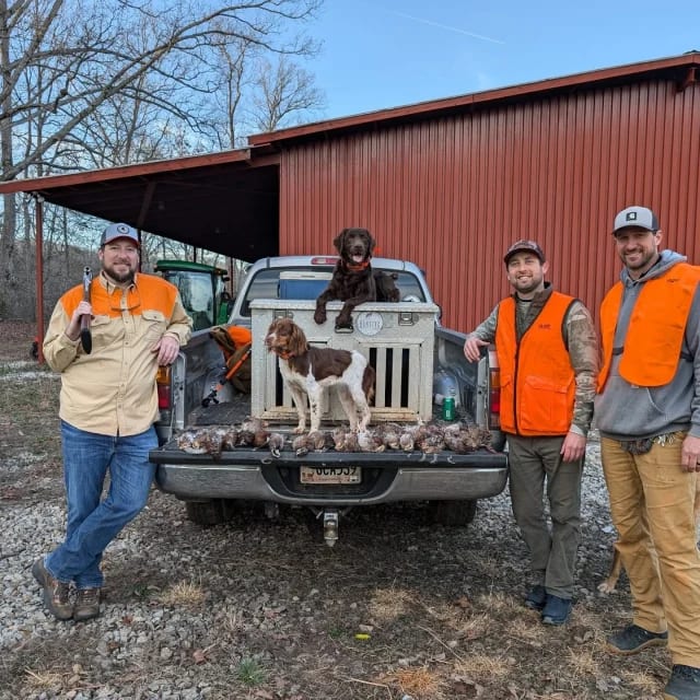 Loretta and Dodger killed it today! (Not pictured, Duke the Pointer who would not be bothered to stop hunting for a pic who also killed it 🤣).