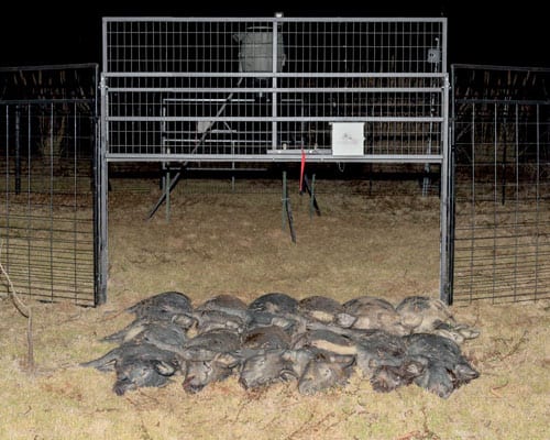 JAGER PRO Rigid trap panels