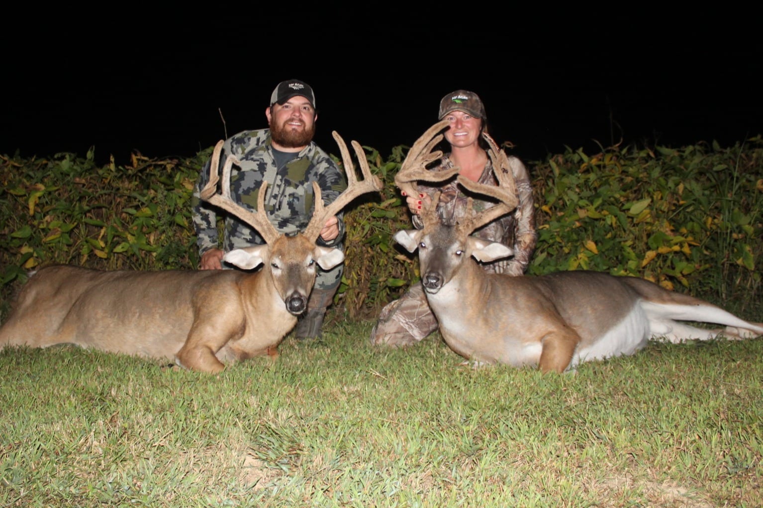 deer 3.JPG
