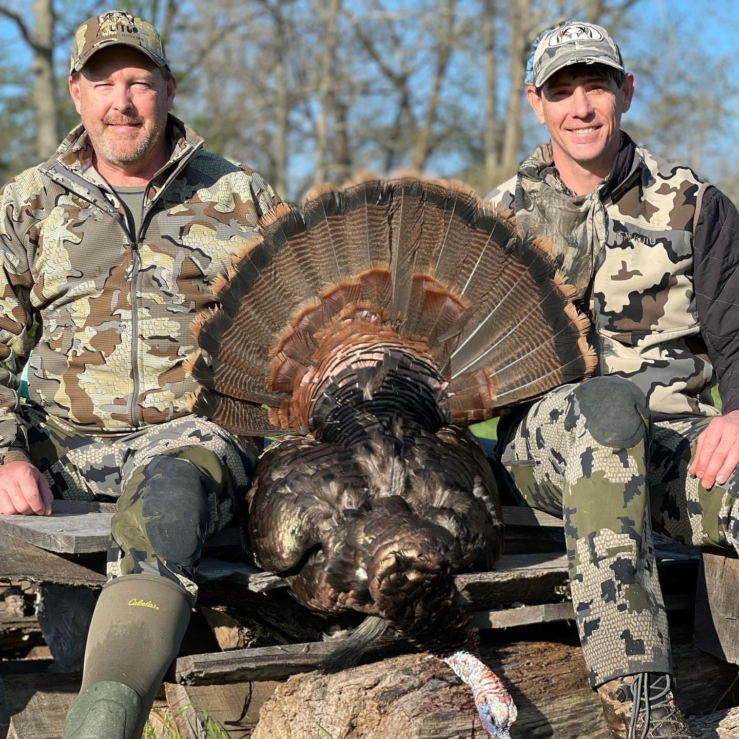 spring turkey 4.JPG