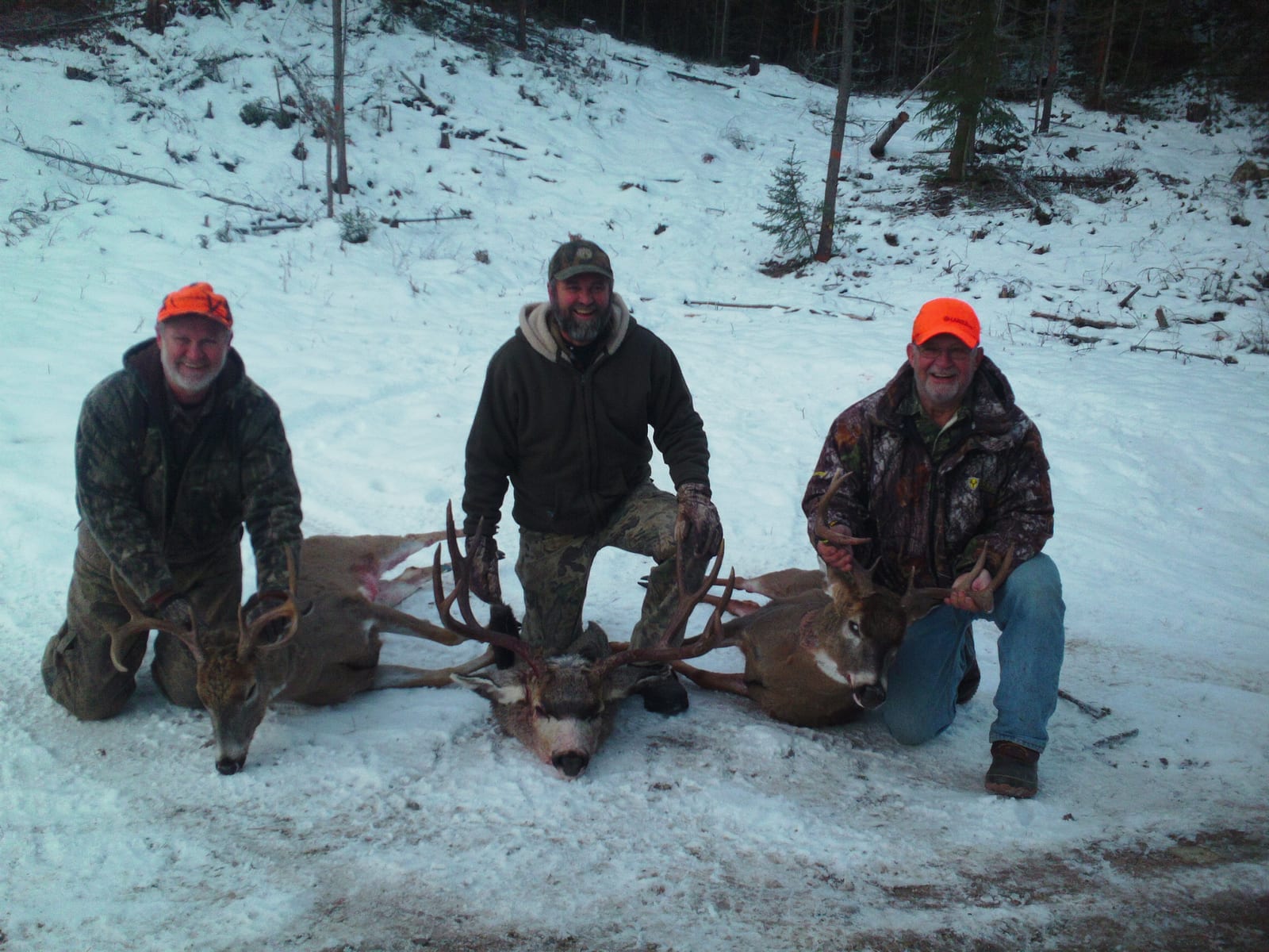 southfork outfitters montana late season whitetail mule deer 2013