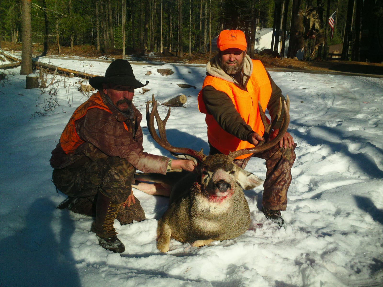 southfork outfitters montana late season mule deer 2013