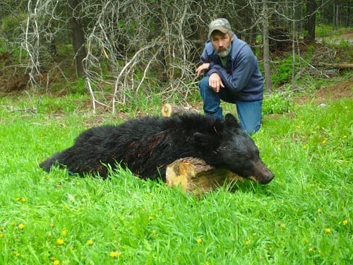 Southfork Outfitters Inc. Spring Bear 2012  Montana