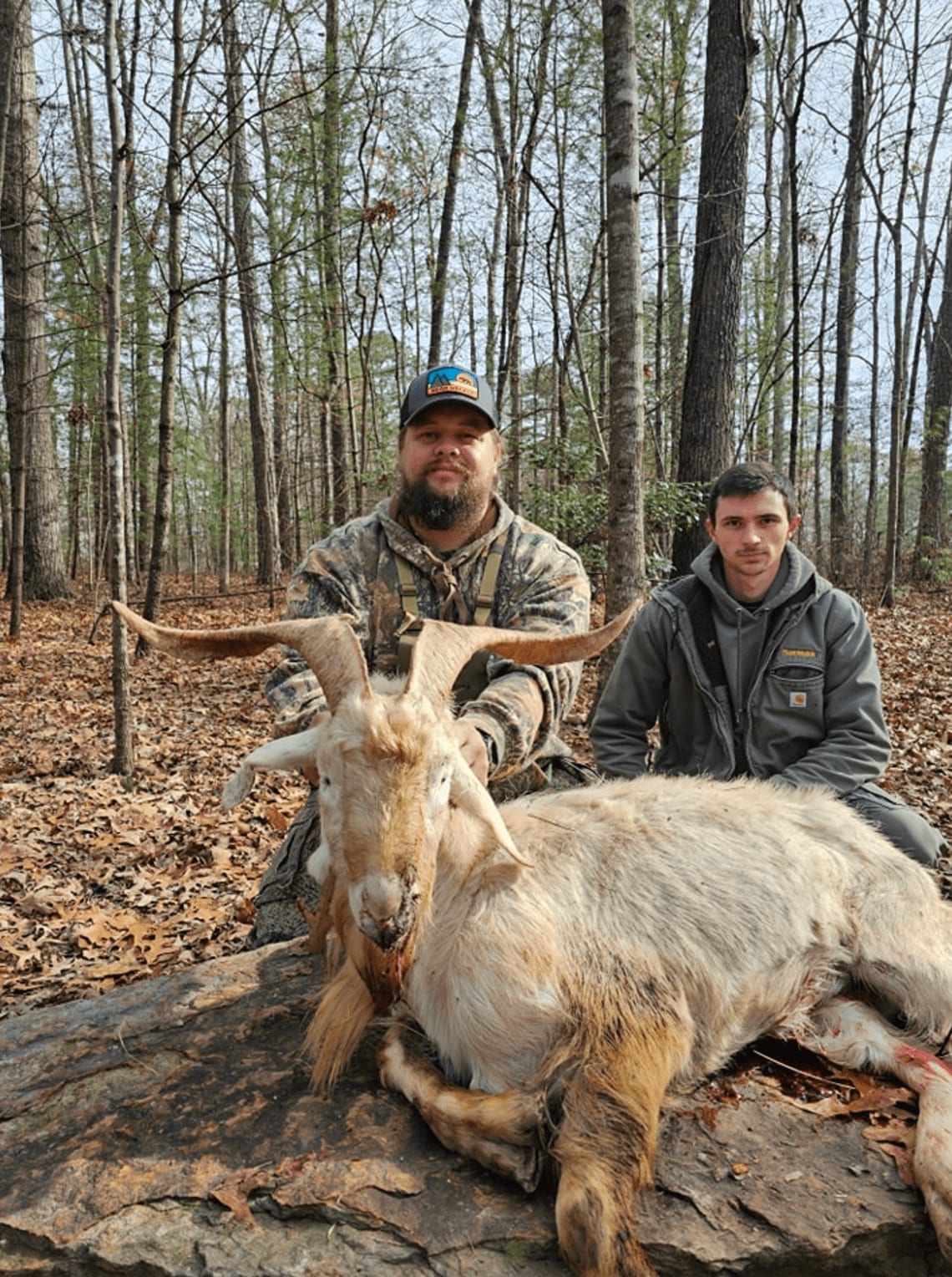 Two men pose with a harvested goat in a wooded area.