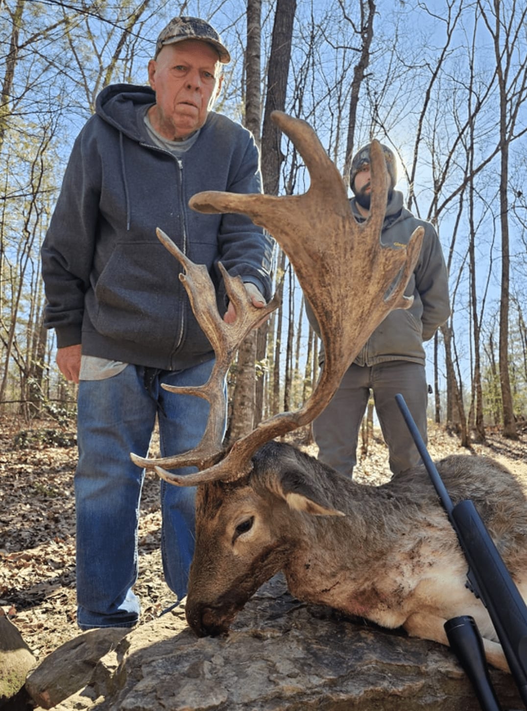 Two men pose with a harvested fallow deer in a wooded area.
