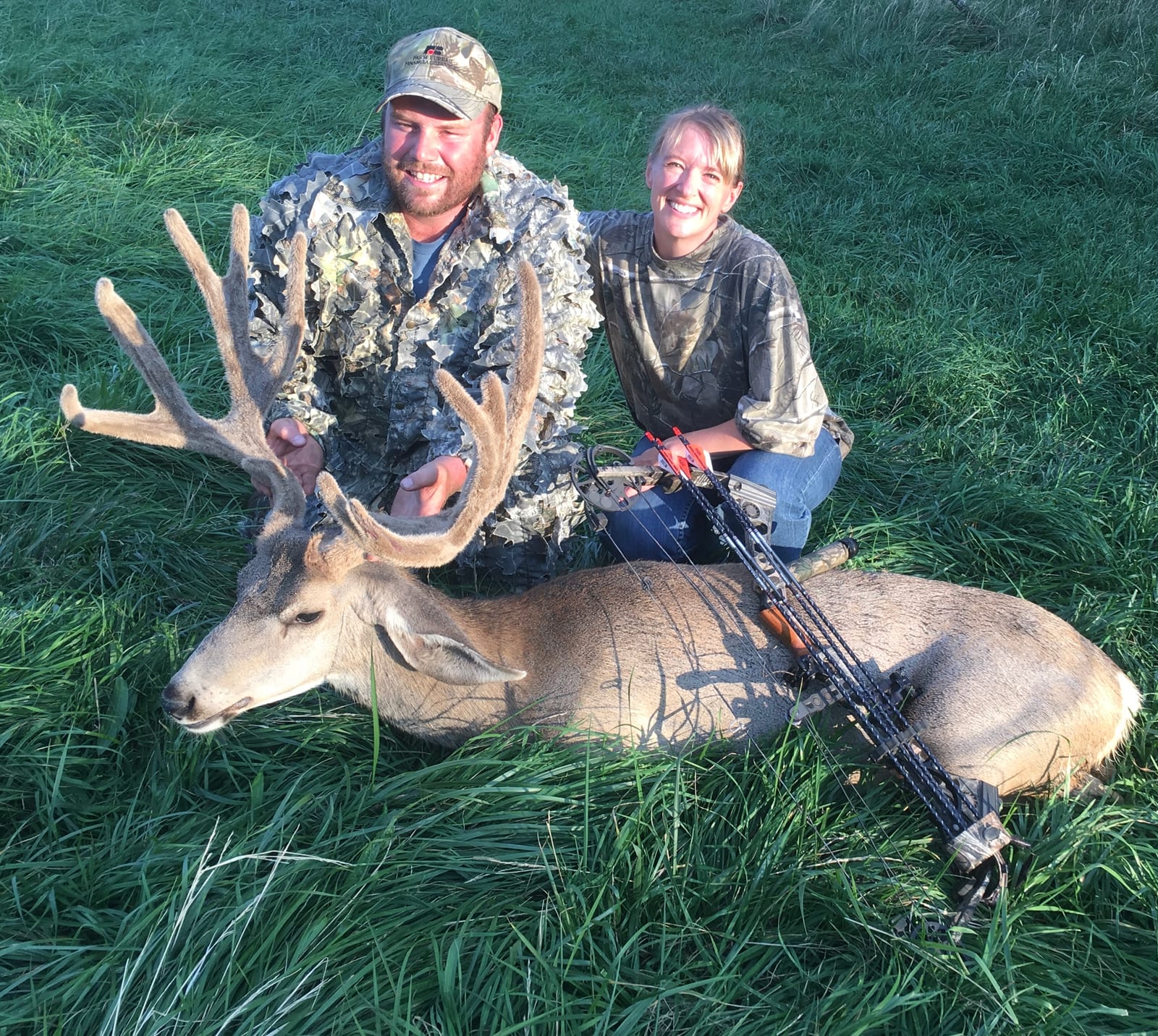 Colorado Mule Deer Hunting