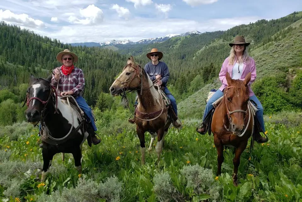 Three people ride horses on a grassy hillside with a forested mountain range in the background.
