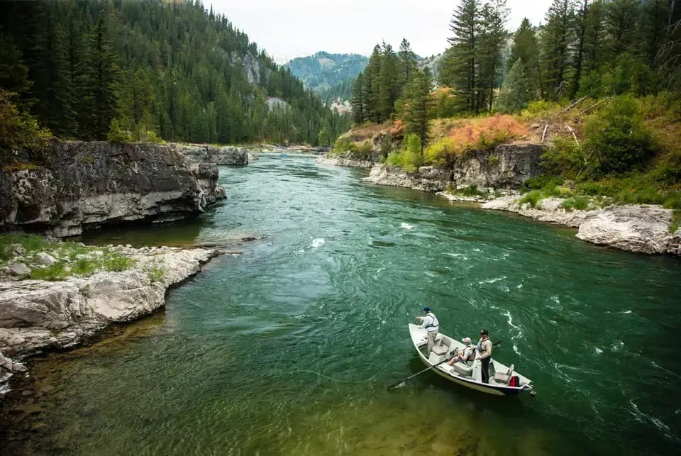 People in a boat on a river surrounded by a forested canyon.