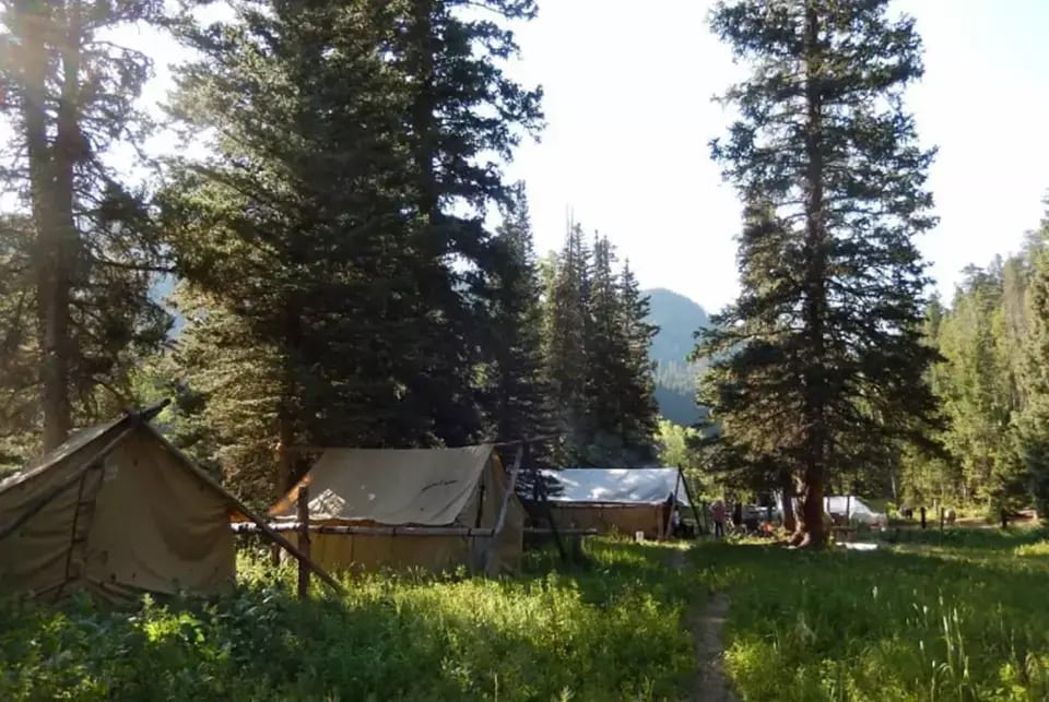 Canvas tents are set up in a grassy clearing surrounded by pine trees, with mountains in the background.