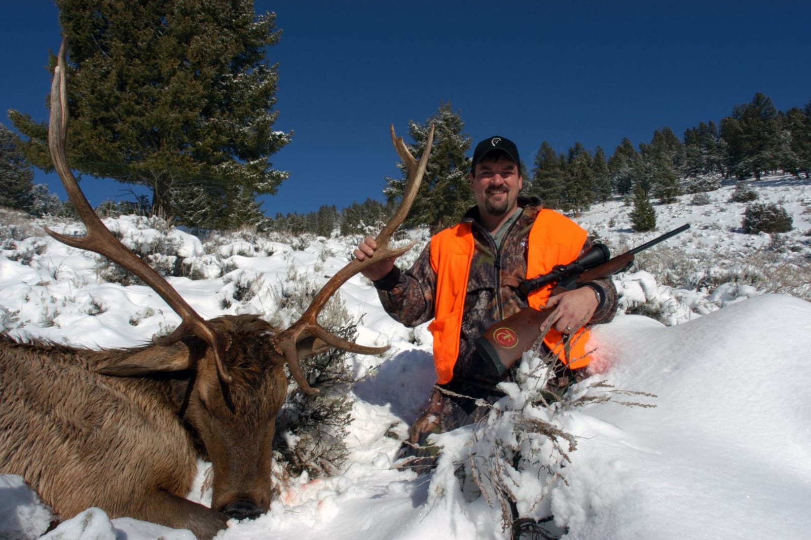 A hunter in an orange vest poses with a harvested elk in a snowy, forested landscape.